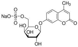 4-Methylumbellifery β-D-galactopyranoside - Biofargo - 