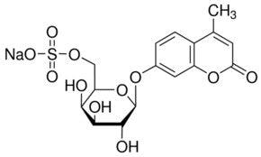 4-Methylumbellifery β-D-galactopyranoside - Biofargo - 